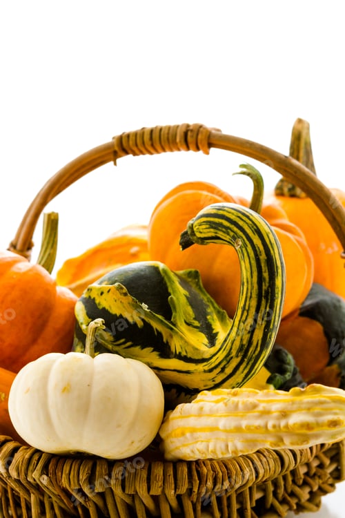 Preview: Mini pumpkins