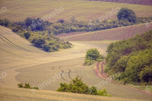 Preview: Hilly landscape in Bulgaria Agriculture