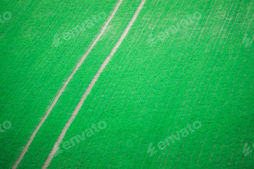 Preview: Tractor Tracks Through Crops