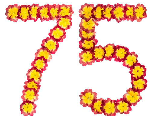 Preview: Numeral 75, seventy five, from natural flowers of primula, isolated on white background