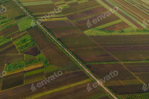 Preview: Aerial View Road Agriculture Field vineyard in Summer Day.