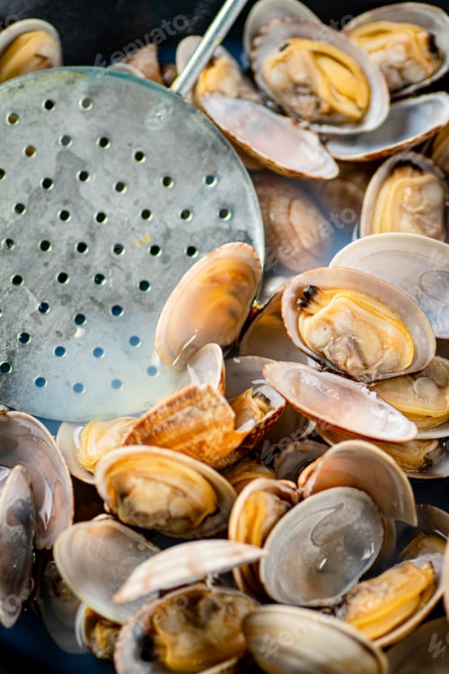 Preview: Fresh vongole. Macro background. Texture vongole.