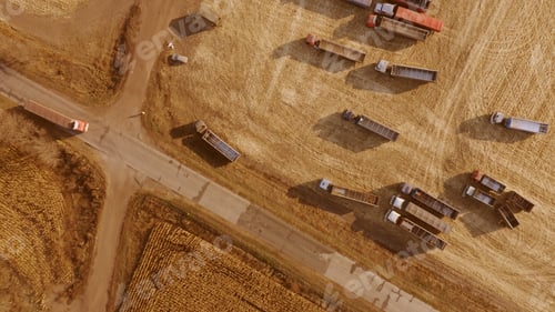 Preview: Grain trucks moving across a field during harvest.