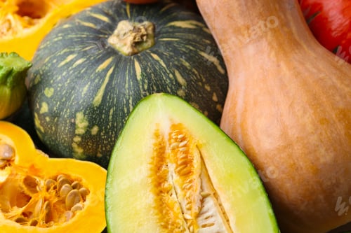 Preview: Many fresh pumpkins and melon as background, closeup. Gourd family