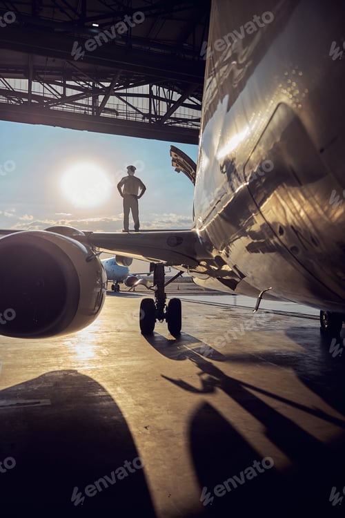 Preview: Image of aircraft with captain in the aviation hangar