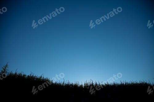 Preview: Sunset view