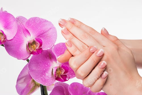 Preview: Hands with French Manicure Next to Pink Orchids