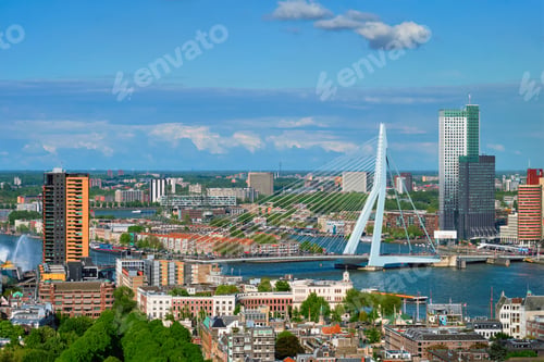 Preview: View of Rotterdam city and the Erasmus bridge