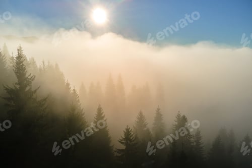 Preview: Aerial view of amazing scenery with foggy dark mountain forest pine trees at autumn