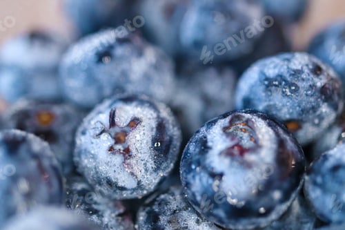 Preview: Close Up of Blueberries