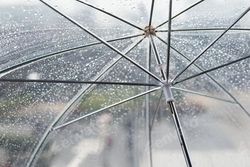 Preview: Transparent umbrella