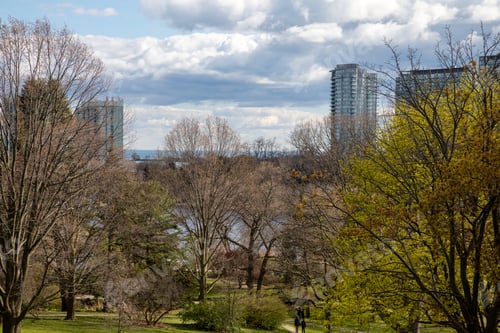 Preview: City view. Toronto, Canada