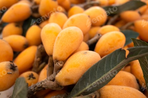 Preview: Loquat Stacked On The Marketplace At Taiwan