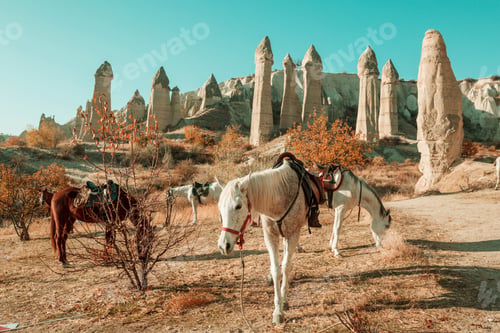 Preview: Horse in Cappadocia