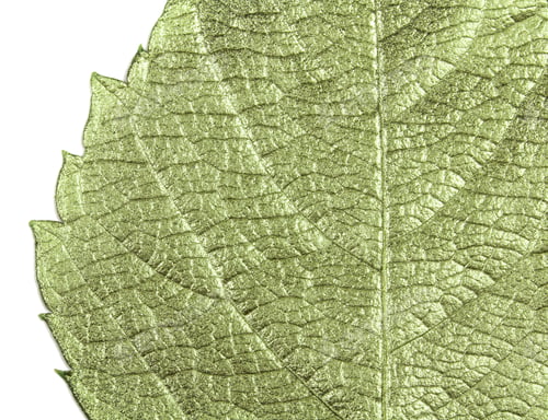 Preview: Background Leaves Autumn There Is A Place For The Inscription