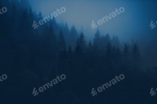 Preview: Foggy Forest Scenery