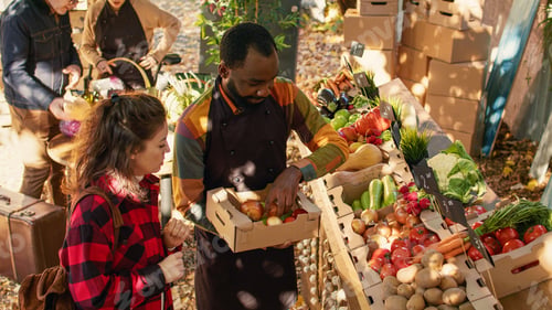 Preview: Small business owners choosing apples and veggies in box