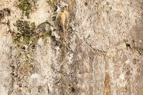 Preview: Wall Background Image There Is A Place For Recording