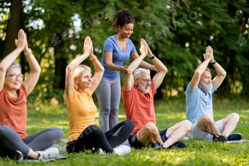 Preview: Group of Seniors Enjoying Yoga in the Park