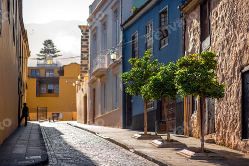 Preview: La Orotava town