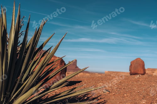 Preview: Desert landscape