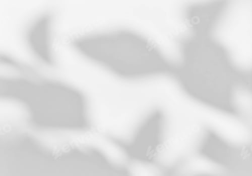 Preview: Shadow of leaves overlay on the wall. Sunlight effect on surface.