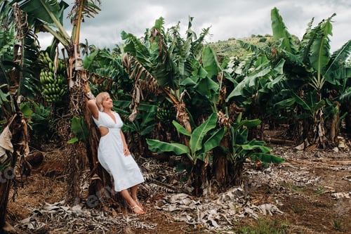 Preview: A girl on a banana plantation on the island of Mauritius, a Banana farm on a tropical island, a Girl