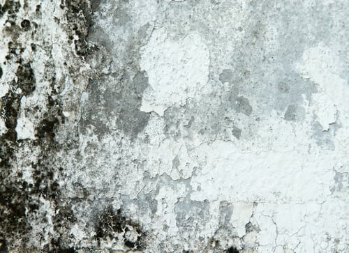 Preview: white concrete wall texture