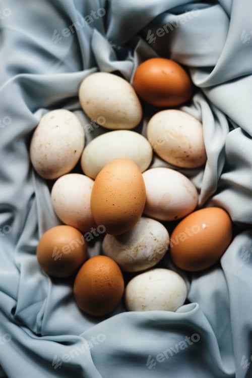 Preview: Closeup of fresh organic various eggs