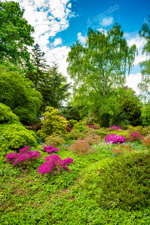 Preview: Beautiful Garden with blooming trees during spring time