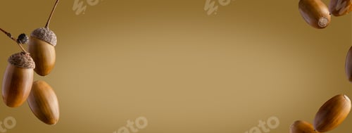 Preview: Banner with acorns on an autumn theme. Oak nut
