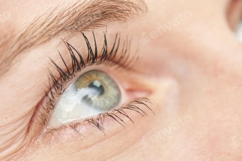 Preview: Close-up of caucasian adult female eye with long eyelashes and reflecting light capturing intensity