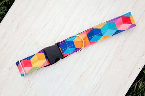 Preview: Dog Collar and Leash set. Pet Supplies and Walking Gear Collection