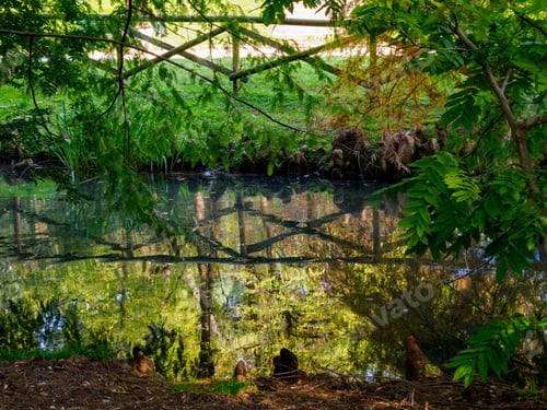 Preview: Autumn at Parco Sempione, Milan
