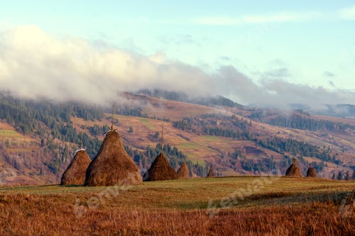 Preview: haystack