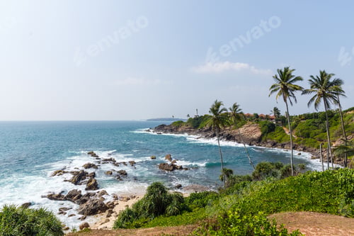 Preview: beautiful scenic view of palm trees om coastline and blue sky, sri lanka, mirissa