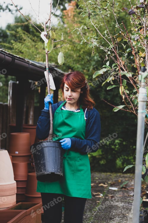 Preview: Young florist with red hair works in a nursery.