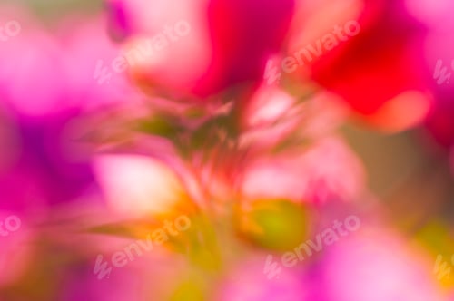 Preview: Abstract pink floral macro background,
