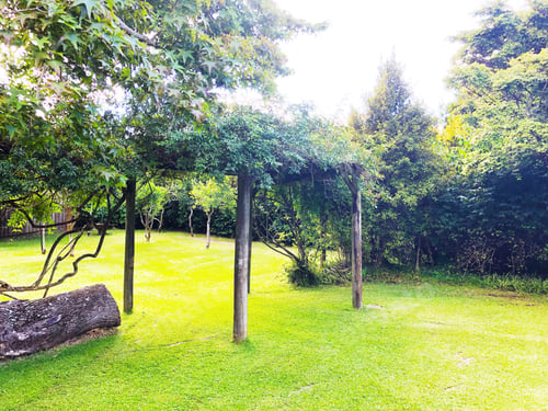 Preview: Beautiful green lawn in backyard garden