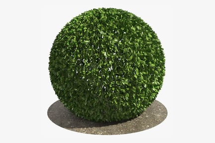Preview: Perfectly Spherical Bush