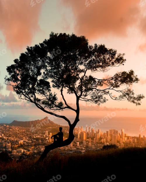 Preview: Silhouette of a male sitting on a thin tree and looking at the city during sunset