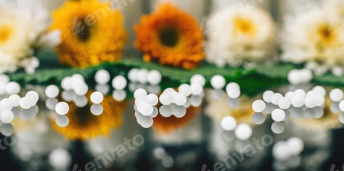 Preview: Homeopathy and Herbal Medicine