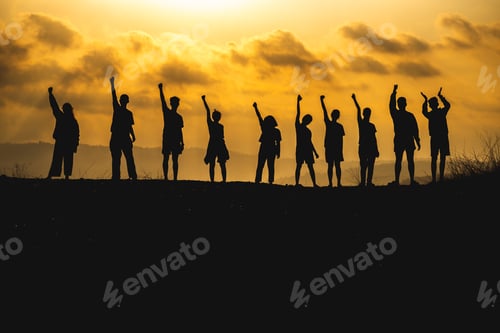 Preview: The silhouette of a business network group of business people shaking hands to express the joy