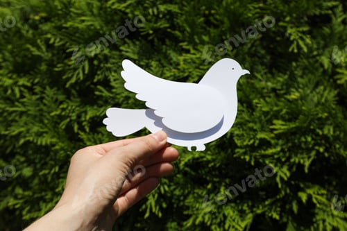 Preview: International day of peace or world peace day, symbol of peace - pigeon