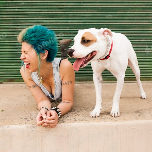 Preview: Young woman with colourful hair, lying on floor next to dog, laughing