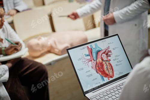 Preview: Anatomical Heart Diagram on Laptop During CPR Training