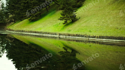 Preview: Reflection in a pond