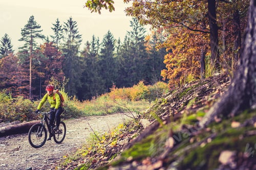 Preview: Mountain biker riding cycling in autumn forest