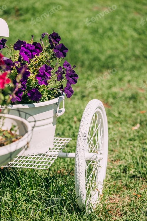 Preview: Decorative Retro Vintage Model Bicycle Equipped Basket Flowers Garden In Sunny Summer Day. Summer