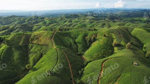 Preview: Aerial view of the greenery hills and mountain road by drone